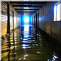 Затоплен подвал многоквартирного дома в СПб